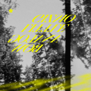 无尽 得到 向上 可爱 葡萄收获期
