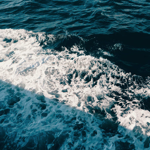 无尽 得到 向上 可爱 葡萄收获期
